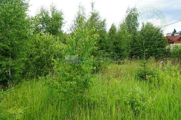 Участок , 1531 сот. (№14384)