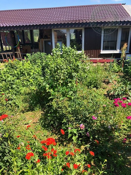 Дом, 69 кв.м. (№14292)