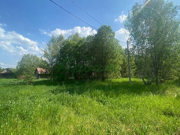 Дом, 47 кв.м. (№14964)
