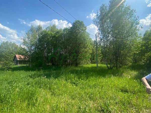 Дом, 47 кв.м. (№14964)
