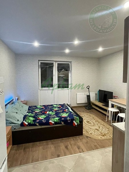 Снять Студия, 24 кв.м. (№14293)