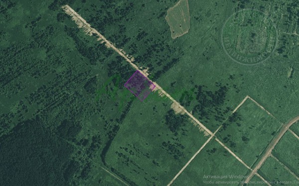 Участок , 100 сот. (№14509)