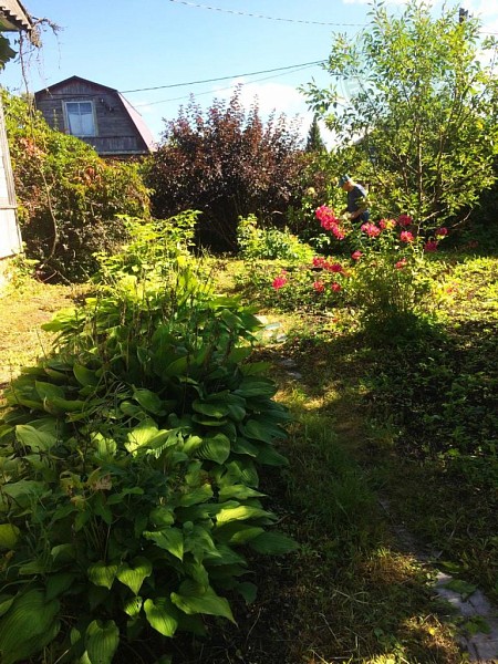 Дом, 70 кв.м. (№14388)