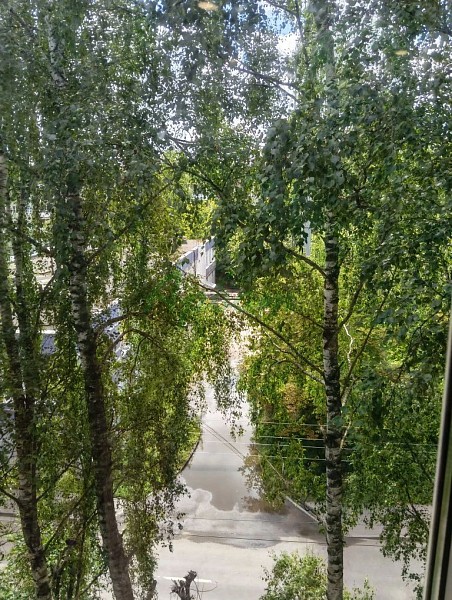 Комната , 61 кв.м. (№14654)