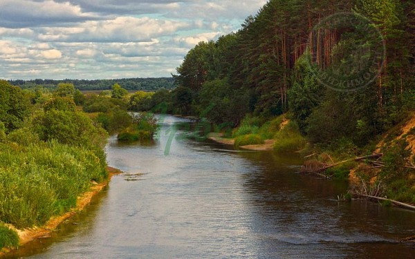 Участок , 842 сот. (№14383)