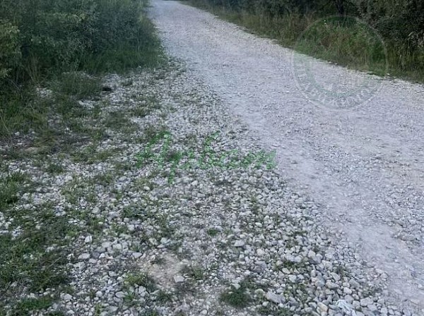 Участок , 20 сот. (№14678)