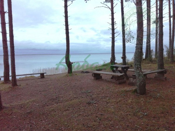 Дом, 37 кв.м. (№13445) Дом, 37 кв.м. (№13445)