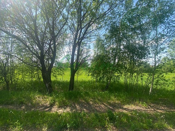 Дом, 47 кв.м. (№14964)