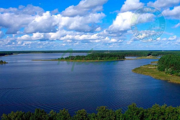 Участок , 1531 сот., Заселье д