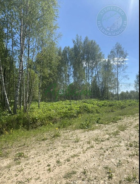 Участок , 100 сот. (№14509)