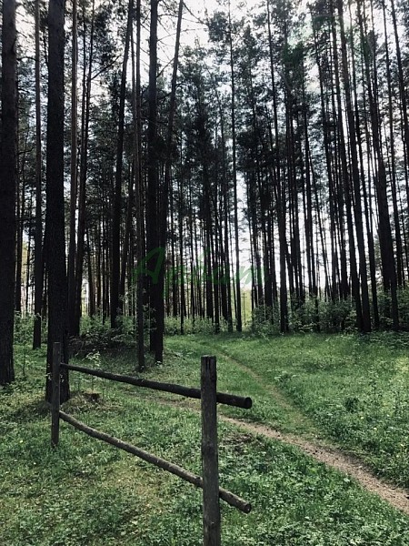 2-к квартира, 39 кв.м. (№14791)