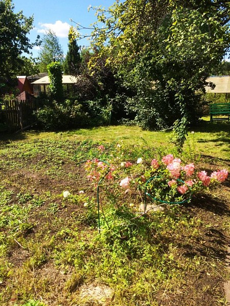 Дом, 70 кв.м. (№14388)