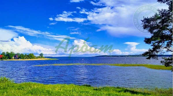 Участок , 1024 сот., Гуща д