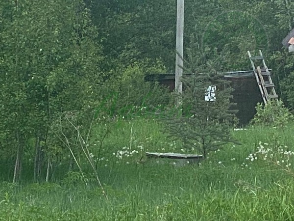 Дом, 47 кв.м. (№14964)