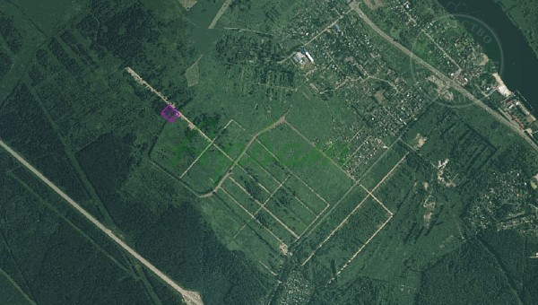 Участок , 100 сот. (№14509)