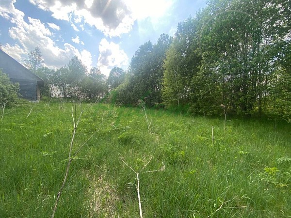Дом, 47 кв.м. (№14964)