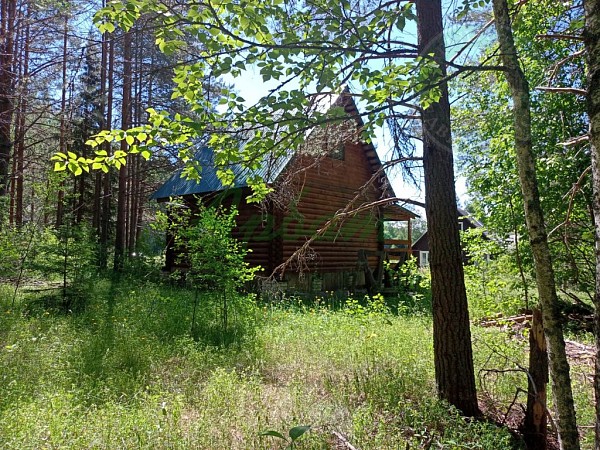 Дом, 48 кв.м. (№13465) Дом, 48 кв.м. (№13465)