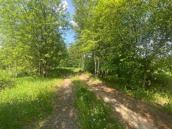 Дом, 47 кв.м. (№14964)