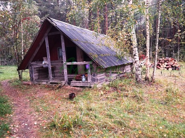 Дом, 37 кв.м. (№13445) Дом, 37 кв.м. (№13445)