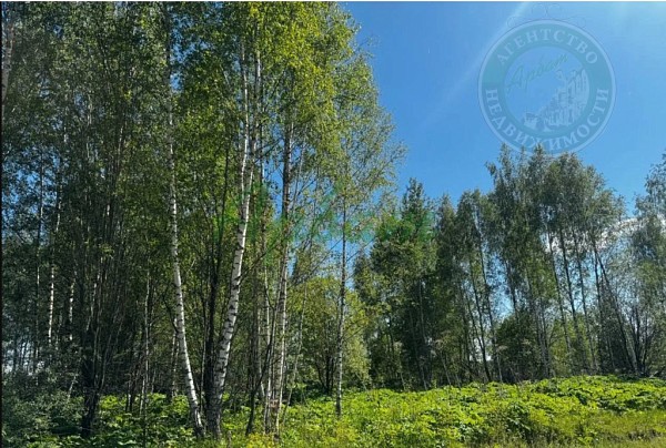 Участок , 100 сот. (№14509)