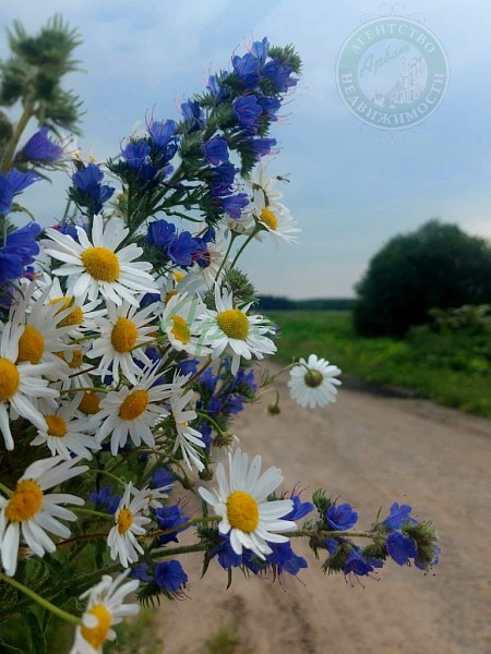 Участок , 26 сот. (№14394)