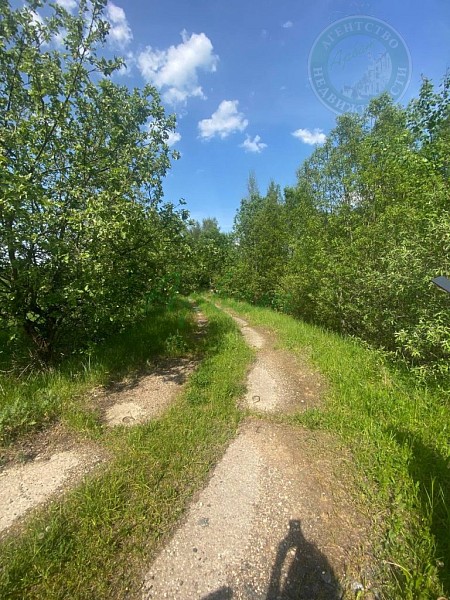 Дом, 47 кв.м. (№14964)