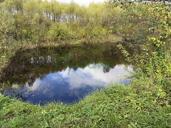 Дом, 78 кв.м. (№14187)