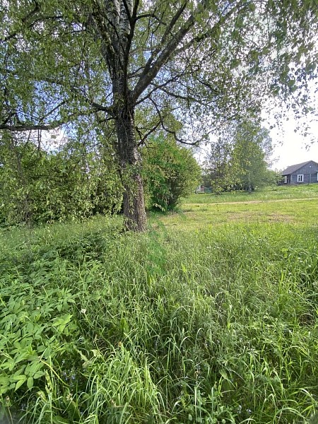 Участок , 20 сот. (№14024)