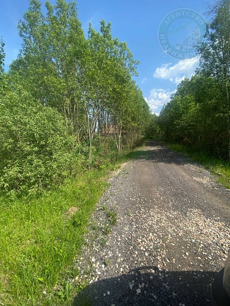 Дом, 47 кв.м. (№14964)