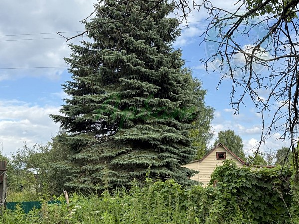 Участок , 7 сот. (№14189)