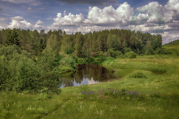 Участок , 842 сот. (№13995)