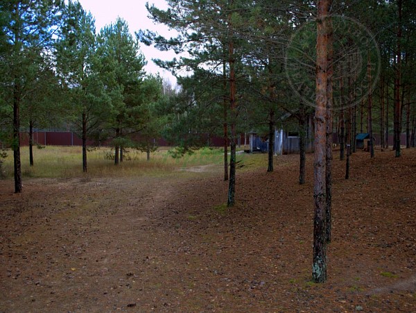 Дом, 470 кв.м. (№14201)