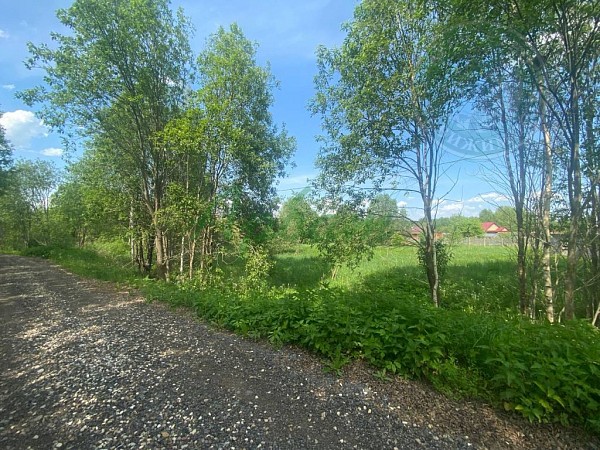 Дом, 47 кв.м. (№14964)