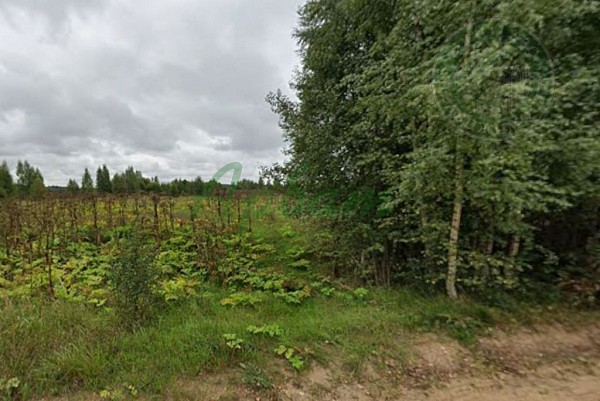 Участок , 405 сот. (№14550)