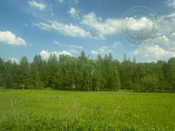 Дом, 47 кв.м. (№14964)