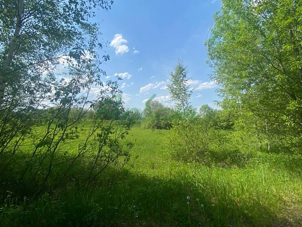 Дом, 47 кв.м. (№14964)