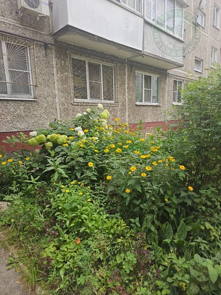 2-к квартира, 44 кв.м. (№14283)