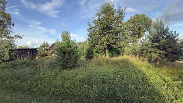 Дом, 47 кв.м. (№14980)