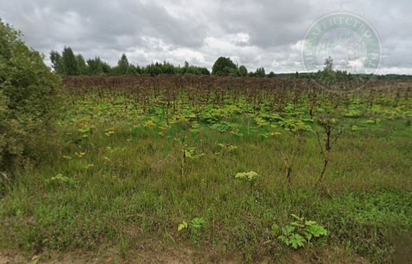 Участок , 501 сот. (№14548)