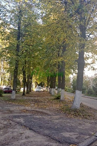 2-к квартира, 45 кв.м. (№13500) 2-к квартира, 45 кв.м. (№13500)