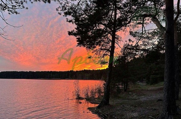 Участок , 1024 сот. (№14424)