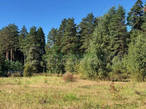 Участок , 842 сот. (№14383)