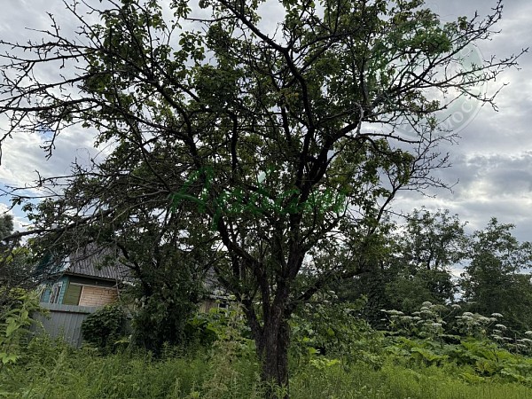 Участок , 7 сот. (№14189)