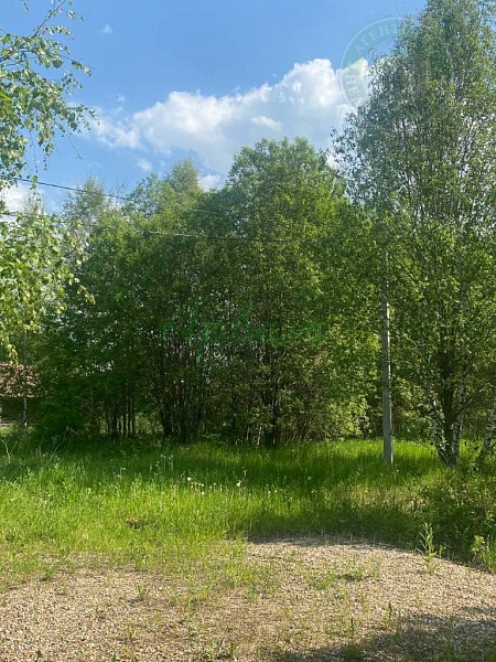 Дом, 47 кв.м. (№14964)