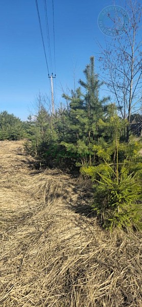 Участок , 12 сот. (№14275)