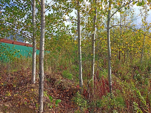 Участок , 12 сот. (№13789)