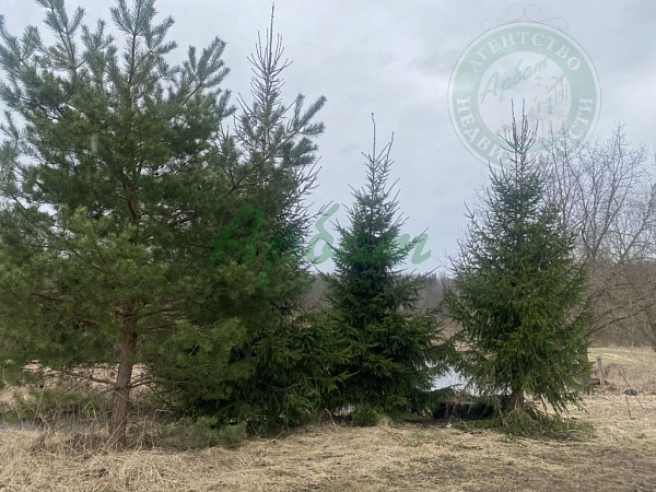 Дом, 28 кв.м. (№14366)