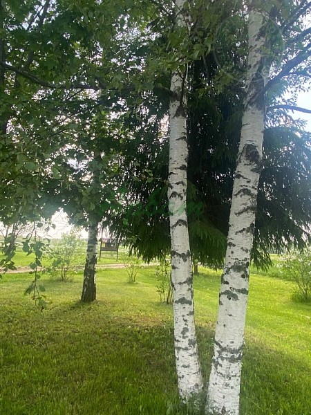 Дом, 47 кв.м. (№14964)