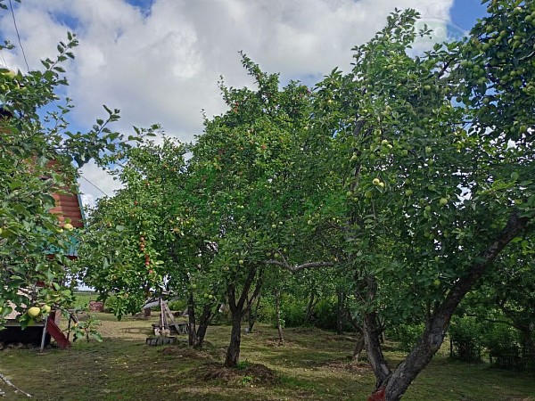 Дом, 73 кв.м. (№14915)
