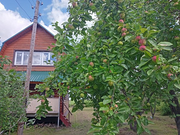 Дом, 73 кв.м. (№14915)